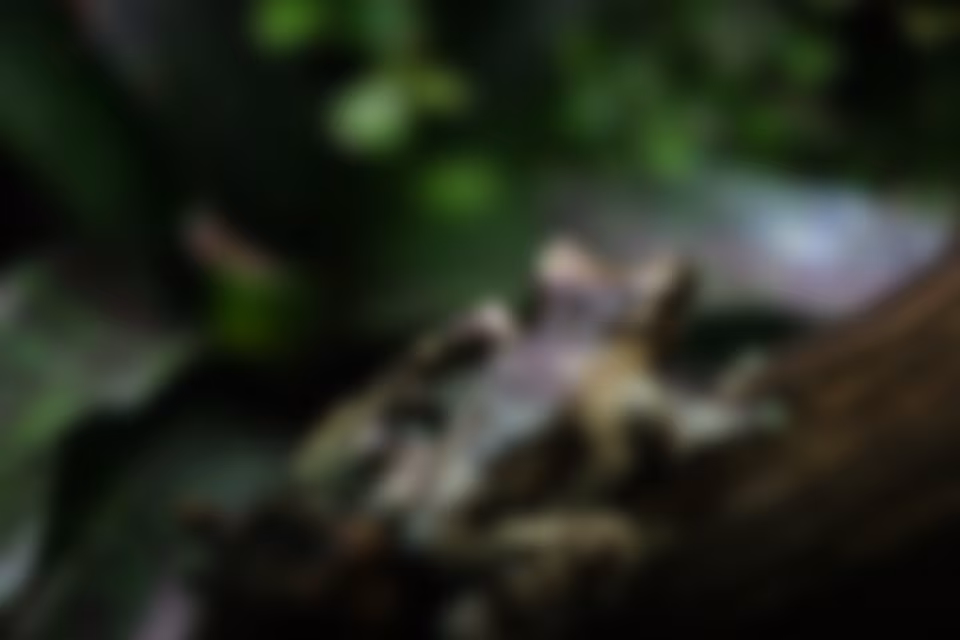 Image that is 5,108 kb large